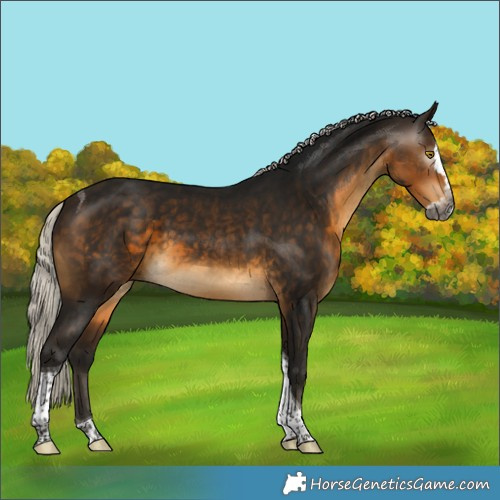 Horse Color:Gray Silver Buckskin Splash Tobiano 