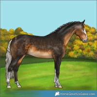 Horse Color:Gray Silver Buckskin Splash Tobiano 