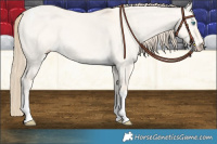 Horse Color:Perlino Dun Tobiano