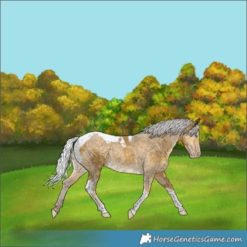 Horse Color:Silver Classic Cream Champagne Merle Tobiano 