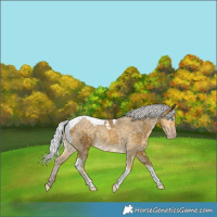 Horse Color:Silver Classic Cream Champagne Merle Tobiano