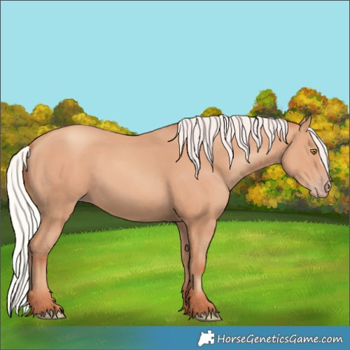 Horse Color:Silver Amber Champagne Frame 
