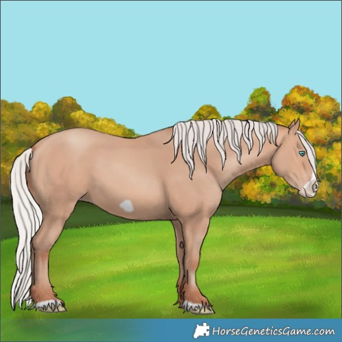 Horse Color:Silver Amber Champagne Frame 