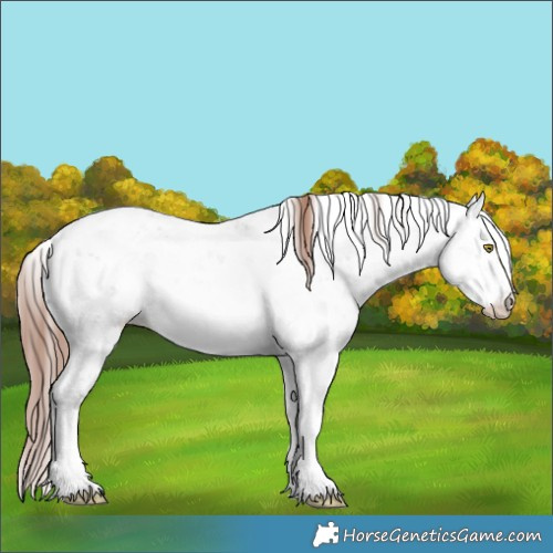 Horse Color:Liver Red Dun Sabino Appaloosa Rabicano Brindle 