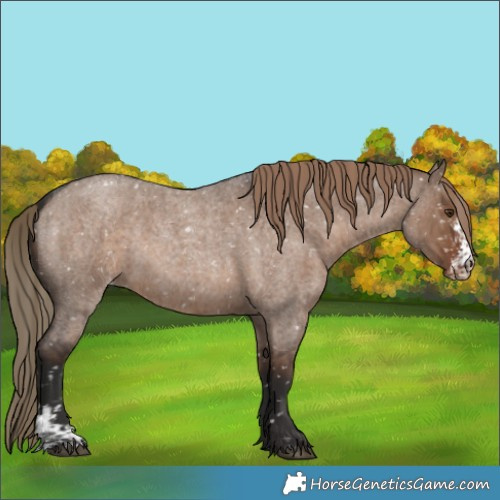 Horse Color:Liver Red Dun Roan Sabino Snowflake VarnishRabicano Brindle 