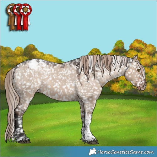 Horse Color:Liver Red Dun Tobiano Appaloosa 