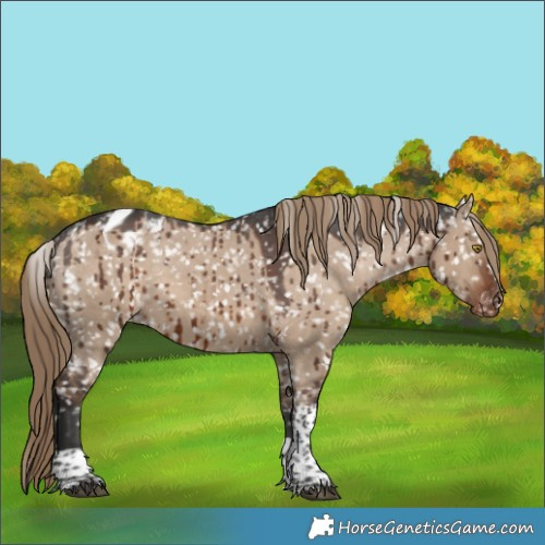 Horse Color:Liver Red Dun Sabino Tobiano Blanket Brindle 