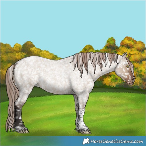 Horse Color:Liver Red Dun Roan Tobiano Blanket Rabicano 