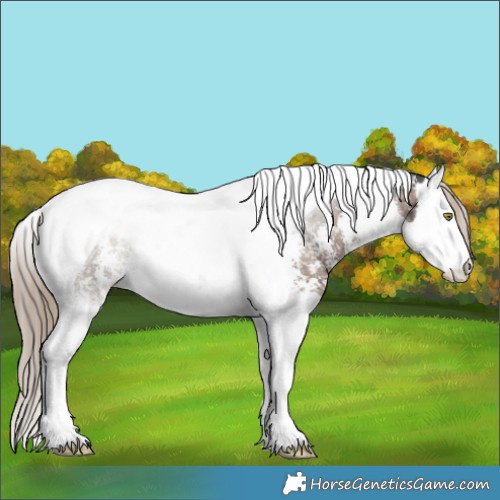 Horse Color:Liver Red Dun Sabino Splash Tobiano Snowflake VarnishRabicano Brindle