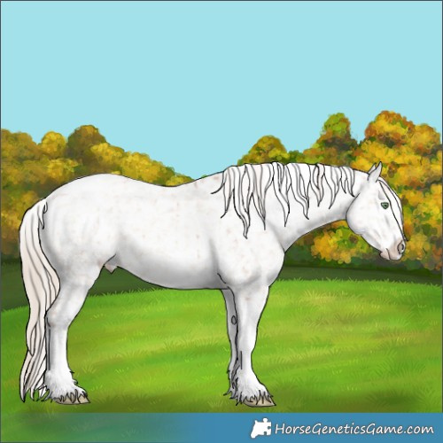 Horse Color:Gold Champagne Dun Sabino Tobiano Snowflake VarnishBrindle 
