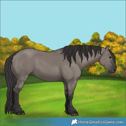 Horse Color:Smoky Grullo 
