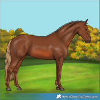 Horse Color:Chestnut 