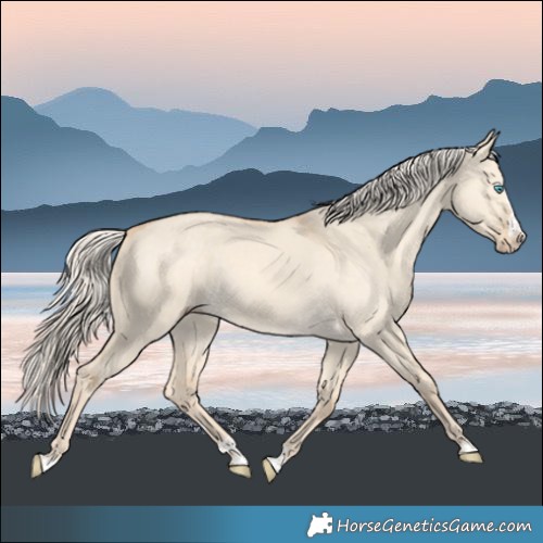 Horse Color:Cremello Dun Splash 