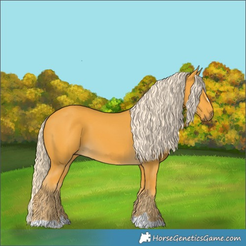 Horse Color:Palomino 