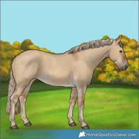 Horse Color:Chocolate Palomino Dun 