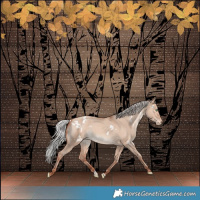 Horse Color:White Spotted Silver Sable Champagne Dun Appaloosa