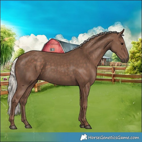 Horse Color:Silver Black 