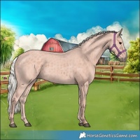 Horse Color:Silver Black 