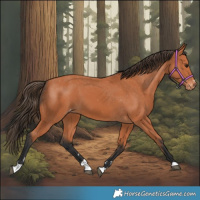 Horse Color:Bay Varnish 