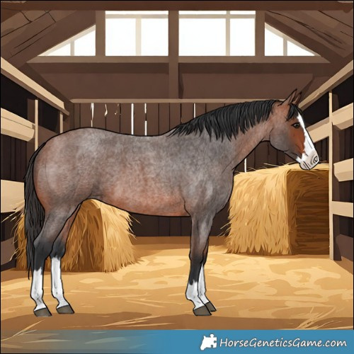 Horse Color:Bay Roan Splash 