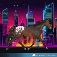 Horse Color:Bay Blanket 