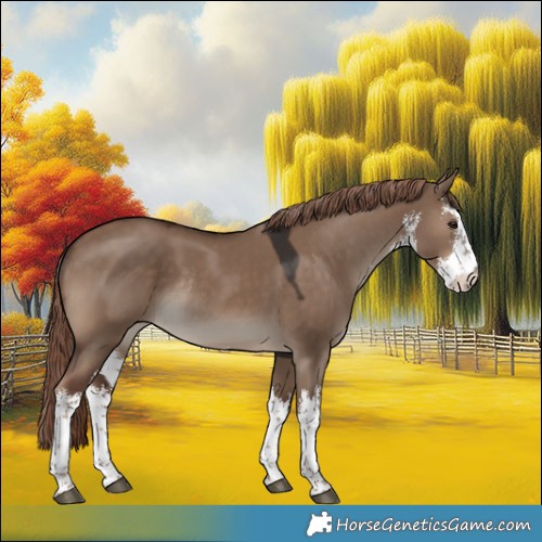 Horse Color:White Spotted Liver Red Dun Rabicano 