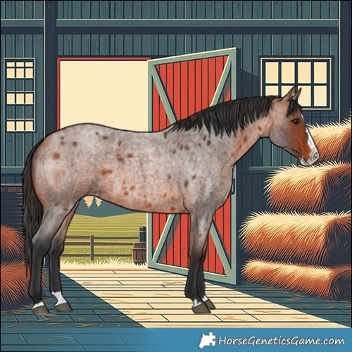 Horse Color:Bay Roan Splash