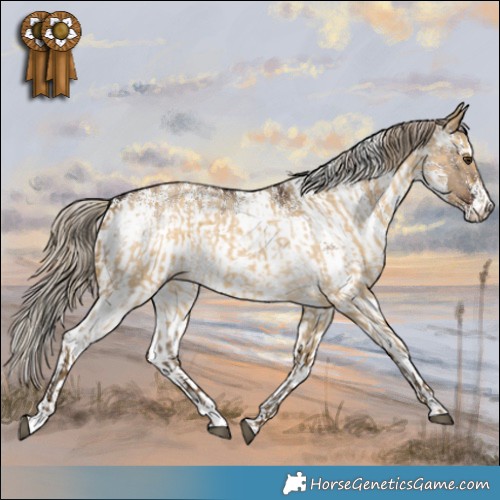 Horse Color:Chocolate Palomino Roan Dun  and White Spotted Liver Red Dun 