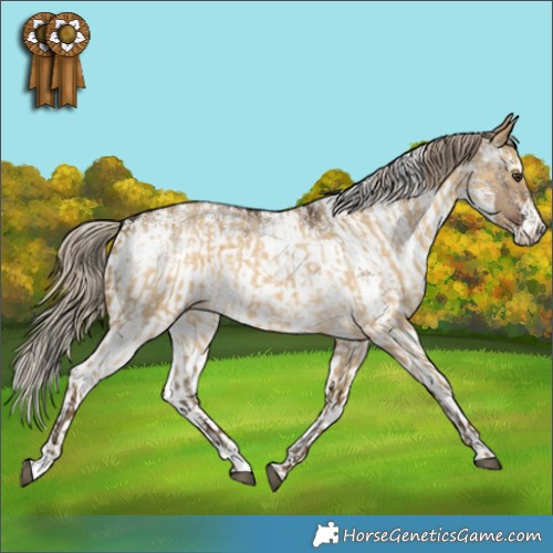 Horse Color:Chocolate Palomino Roan Dun and White Spotted Liver Red Dun