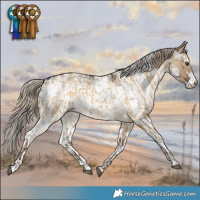 Horse Color:Chocolate Palomino Roan Dun and White Spotted Liver Red Dun