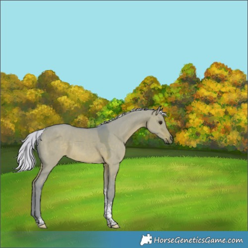 Horse Color:Watercolor Silver Brown Dun Tobiano Rabicano 