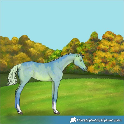Horse Color:Watercolor Silver Brown Dun Tobiano Rabicano 