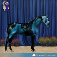 Horse Color:ERROR: UNKNOWN ANOMALY