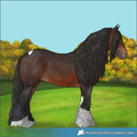 Horse Color:Brown Tobiano 
