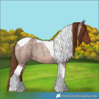 Horse Color:Red Roan Tobiano 