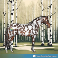 Horse Color:Brown Near Leopard Rabicano 