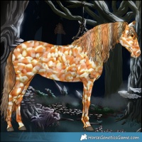 Horse Color:Red Dun Near Leopard 