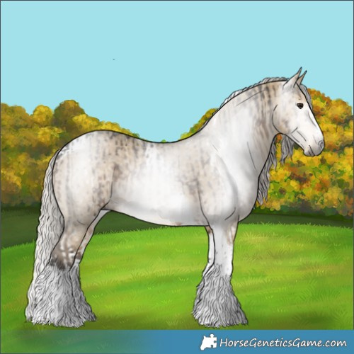 Horse Color:Gray White Spotted Silver Brown Splash Frame  and Silver Buckskin Dun Splash Tobiano 
