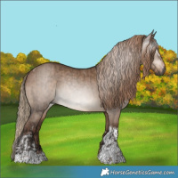 Horse Color:Gray Bay Dun Rabicano  and Liver Red Dun Tobiano 
