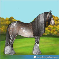Horse Color:Bay Dun Splash Tobiano Rabicano and Gray Brown Tobiano Rabicano