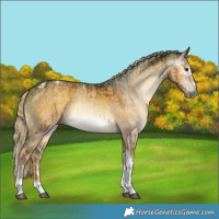 Horse Color:Gray Chocolate Palomino Onyx Tobiano Appaloosa  and Gray Watercolor Chocolate Palomino Dun Splash Tobiano 