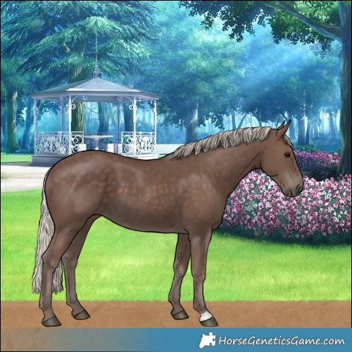 Horse Color:Silver Black 