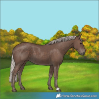 Horse Color:Silver Black 