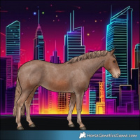 Horse Color:Chestnut Appaloosa 