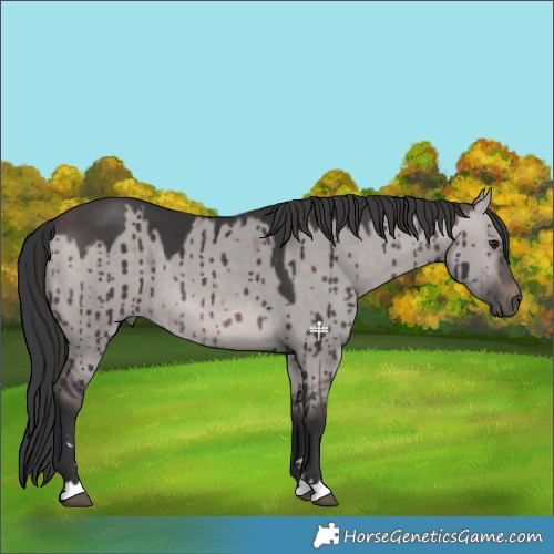 Horse Color:Platinum Brown Dun Brindle 