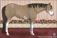 Horse Color:Classic Champagne Sabino