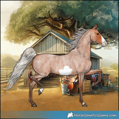 Horse Color:Silver Bay Roan Frame 