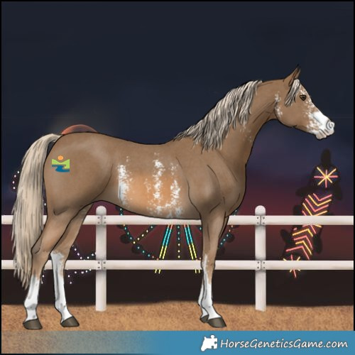 Horse Color:Chocolate Palomino Sabino 