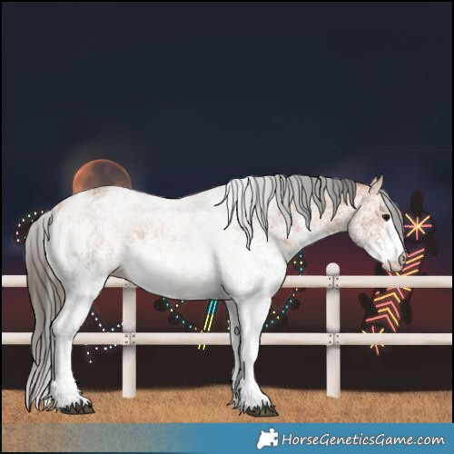 Horse Color:White Spotted Bay 