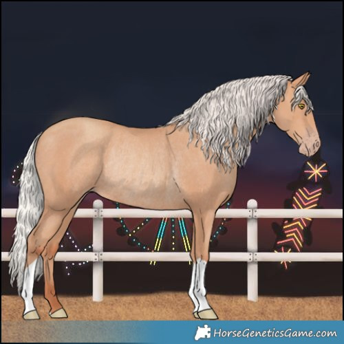 Horse Color:Silver Amber Champagne Rabicano 